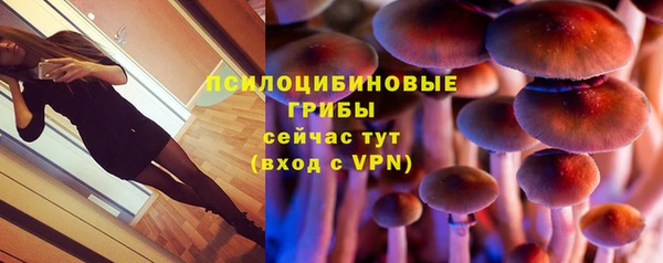 ALPHA-PVP Богородск