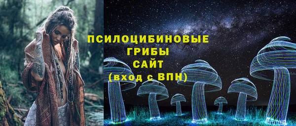 apvp Богданович