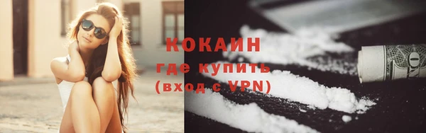 apvp Богданович