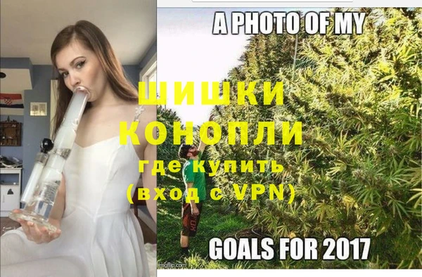 apvp Богданович
