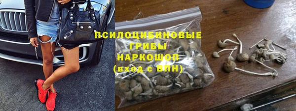 молекула духа Бугульма