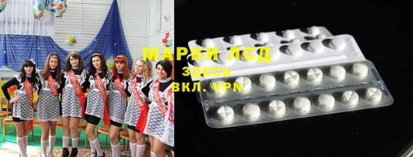 МДПВ Бородино